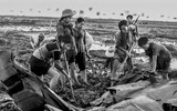 Ngắm những người con Hà Nội qua 